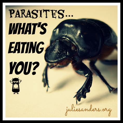 parasite porn|parasite videos